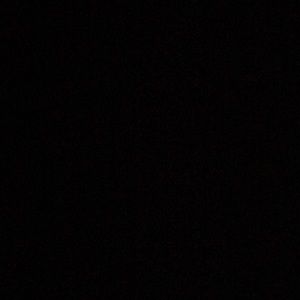 Meet your Posher, Shelby